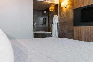 Отель Favor Park Hotel. Люкс одноместный  3