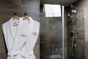 Отель Favor Park Hotel. Люкс одноместный  5