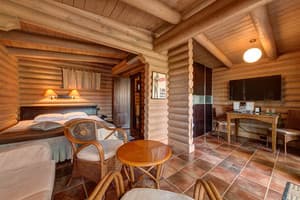 Партизан Beerlogovo 43